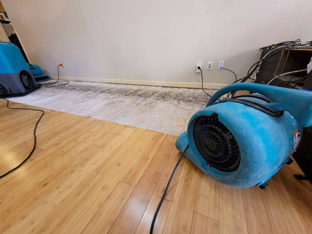 Professional Sewage Cleanup technician working in Holtsville, NY
